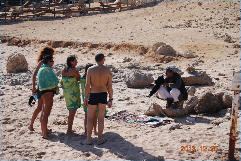 sharm 12 120